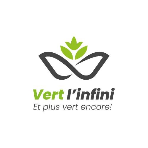 Logo Vert l'infini